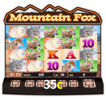 PIX Instantâneo 35c